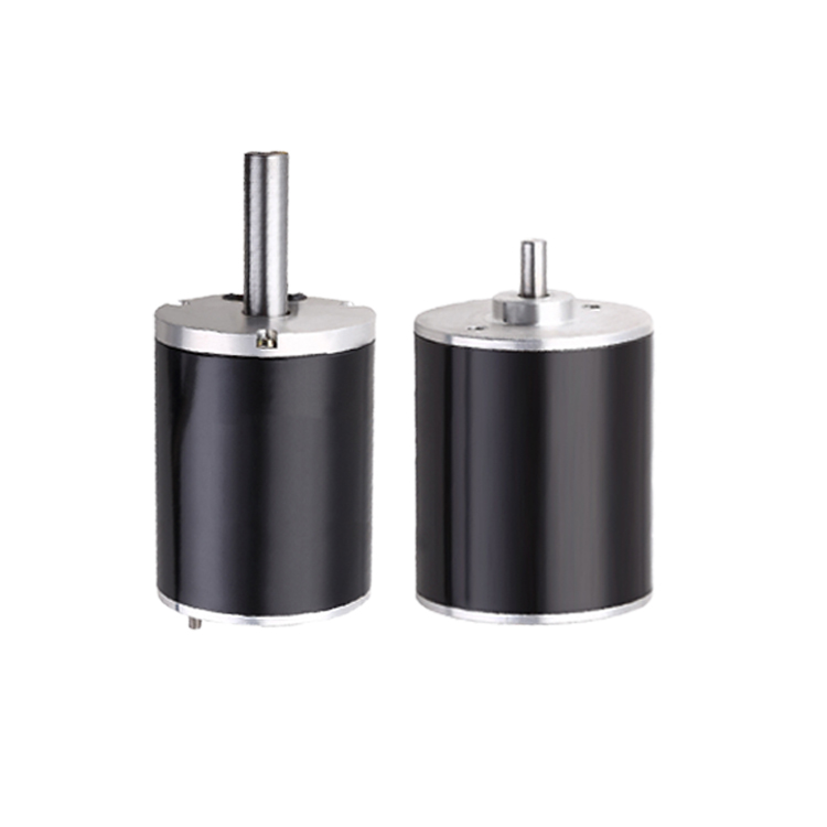 Waterproof 12v/24v/48v 4w/6w/10w/20w/100w/300w DC Mini Brushless Motor 1400rpm/3000rpm/6000rpm Electric Scooter Dc Motor