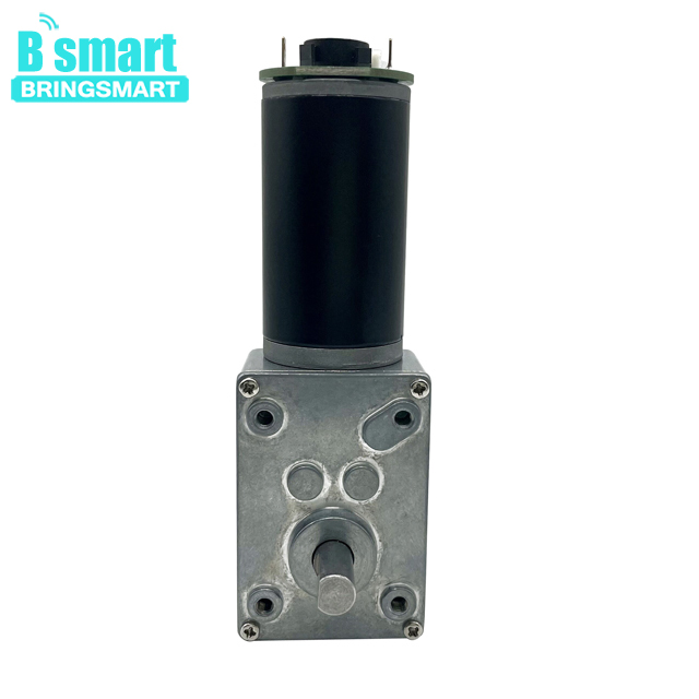 BringSmart SR5840-31ZYB High Torque Low Speed 40rpm 12 Volt 24v Single Shaft Dc Worm Encoder Gear Motor with Self Locking