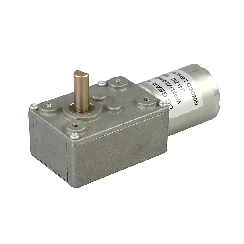 DC 12V/24V Wgm 370 Micro Miniature Wrom Gear Motor Reducer 50/100rpm