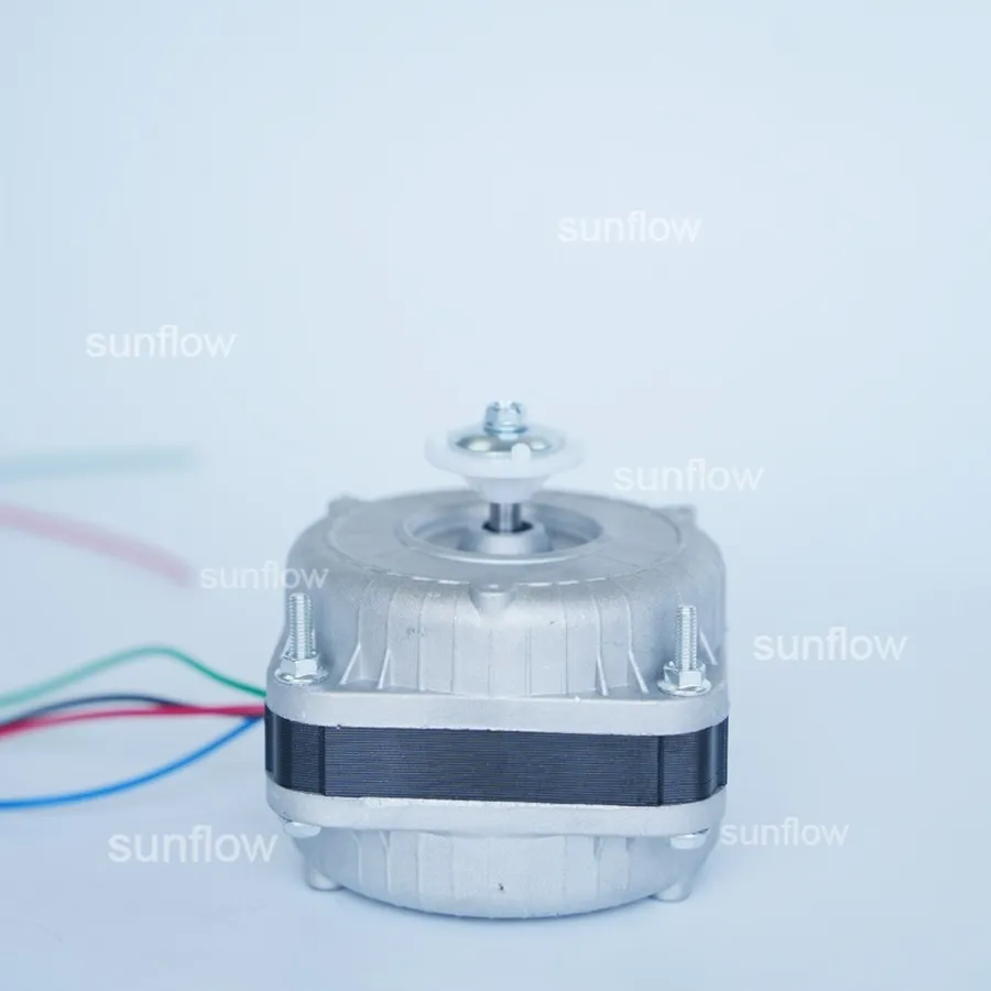Motor View 1