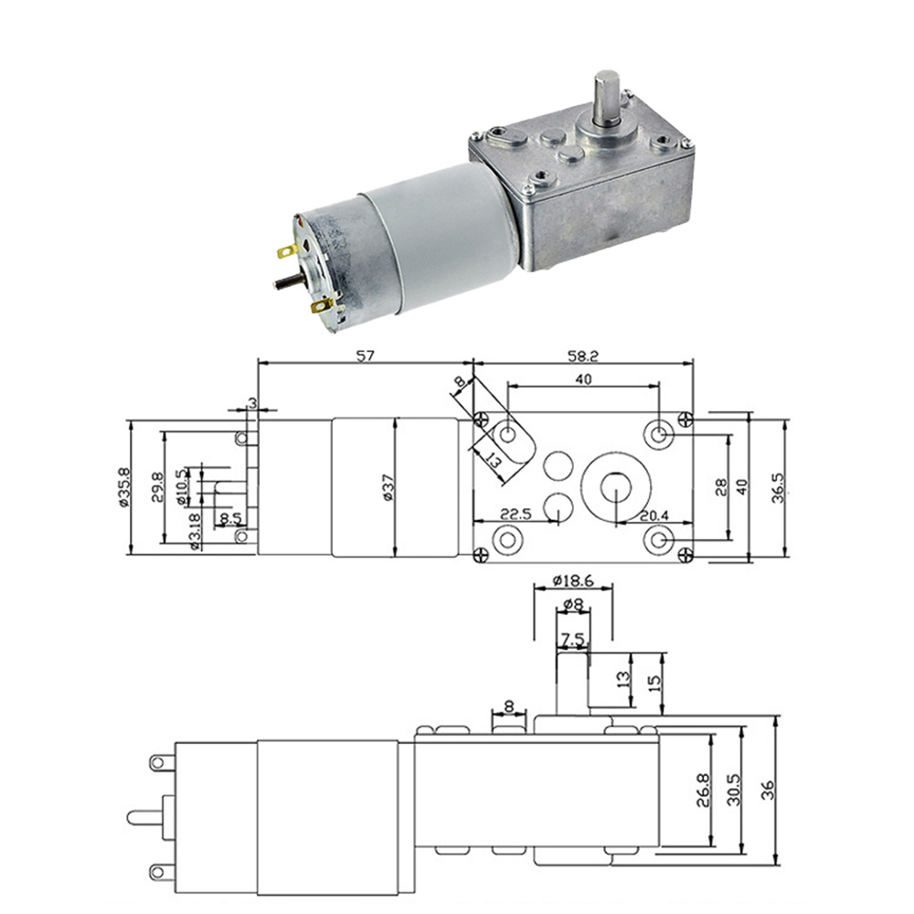 58SGM555(545) Encoder Reduction Motor High Torque Motor With Encoder Turbine Worm Motor 12v-24