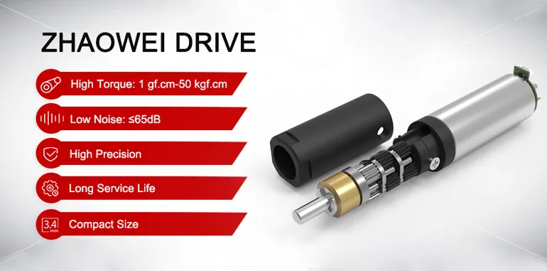 Micro Gear Motor Detail 2