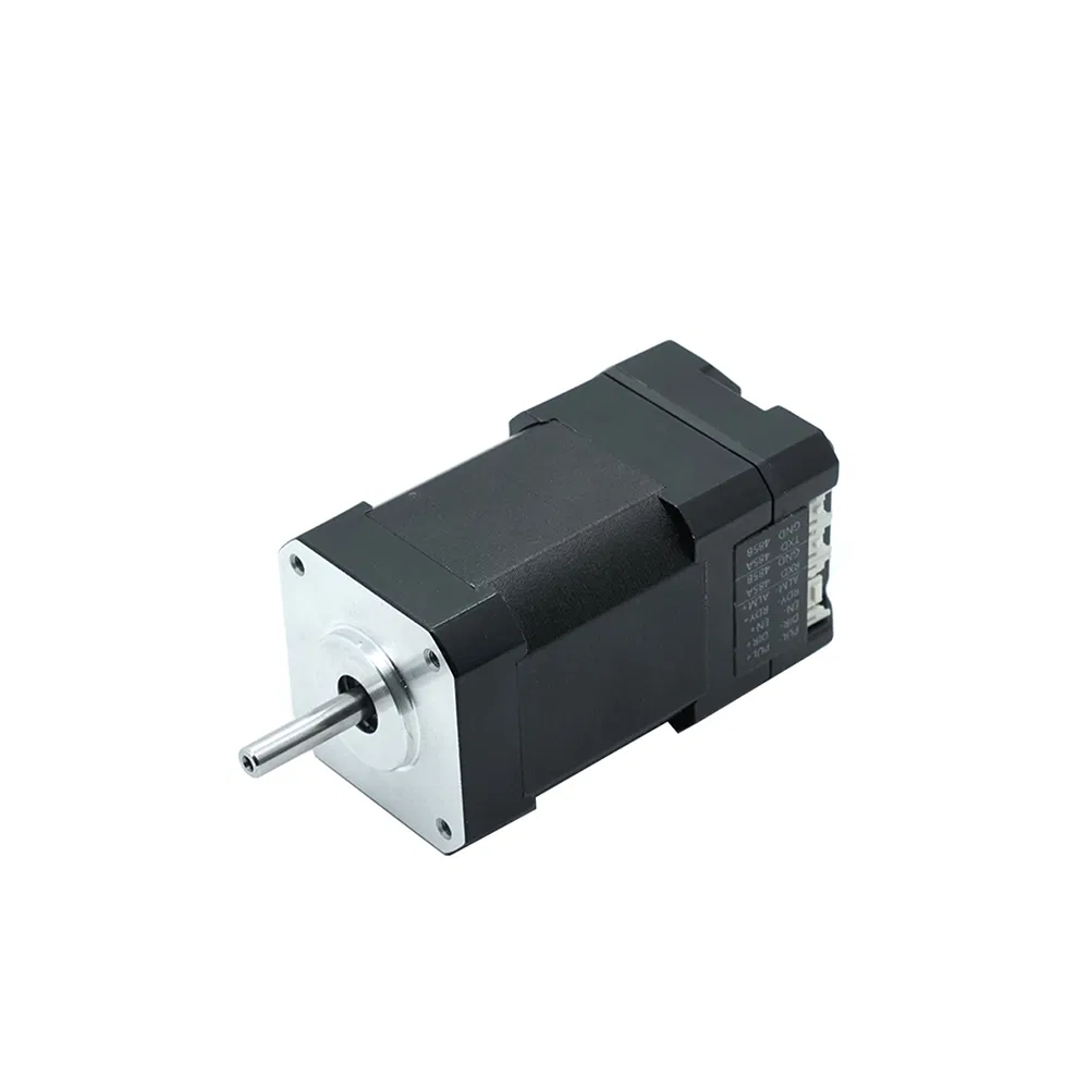 Servo Motor 1