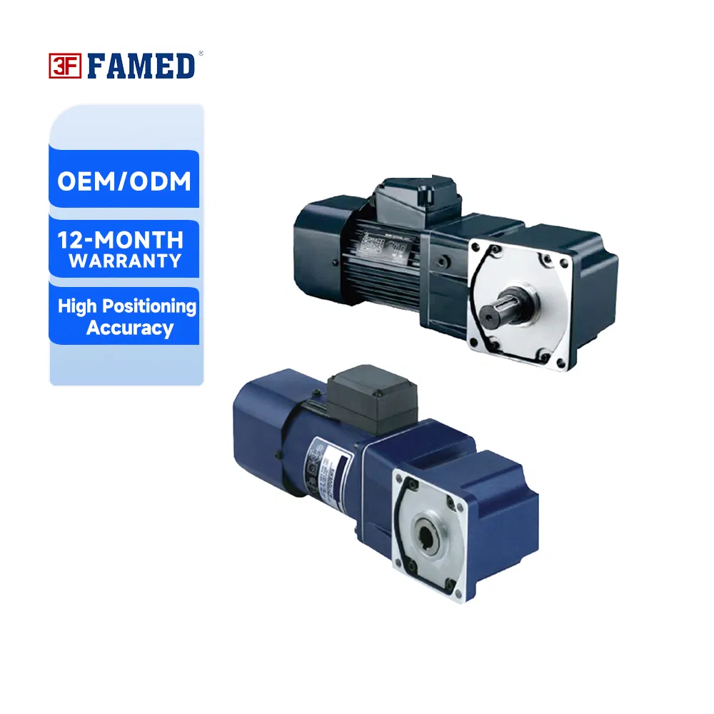 High Precision 220V/380V AC Micro Geared Motor for Robotics