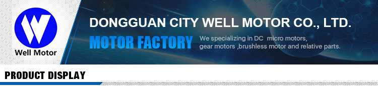 DC Electric Round Motor