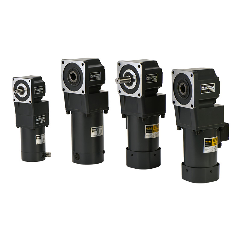 4W-250W Protection Type Gpg Vtv Yn60 Yn70 Yn80 Yn90 Yn100 CE, ISO9001, UL Single Phase Micro AC Gear Motor for Automation Industry