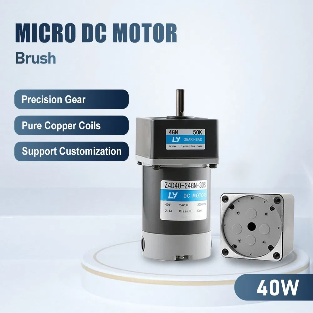 40W Micro Reversible Brushed DC Geared Motor for Automation Equipment