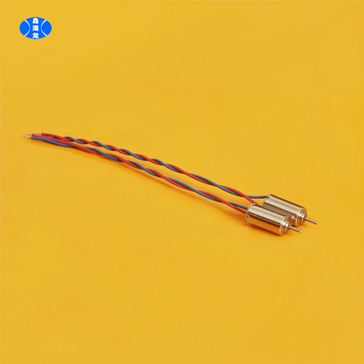 Small Electric Motor