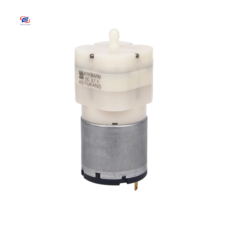 Manufacturer Direct Selling Small Electric 5L/min 12v DC Brushed Motor Micro Mini Diaphragm Motor