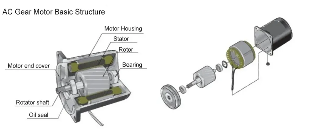 Industrial Motor