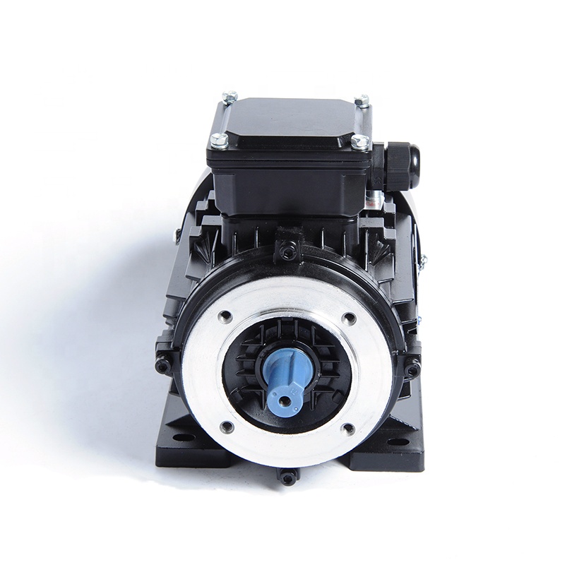 IE1 Series 380V 0.5hp Small Three Phase Ac Electric Asynchronous Induction Motors 370W 2pole