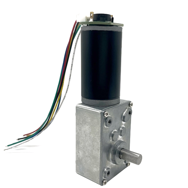 BringSmart SR5840-31ZYB High Torque Low Speed 40rpm 12 Volt 24v Single Shaft Dc Worm Encoder Gear Motor with Self Locking