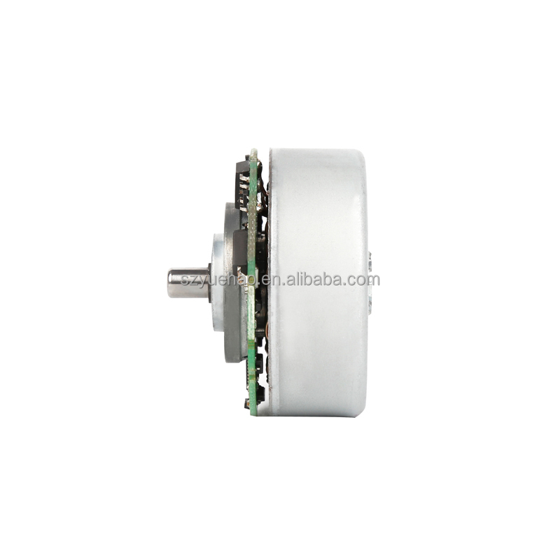 YBL 4321DI Bldc Small Powerful Electric Motors Brushless Out-rotor Structure Direct-drive Dc Motor Dc Motor Equipped Encoder