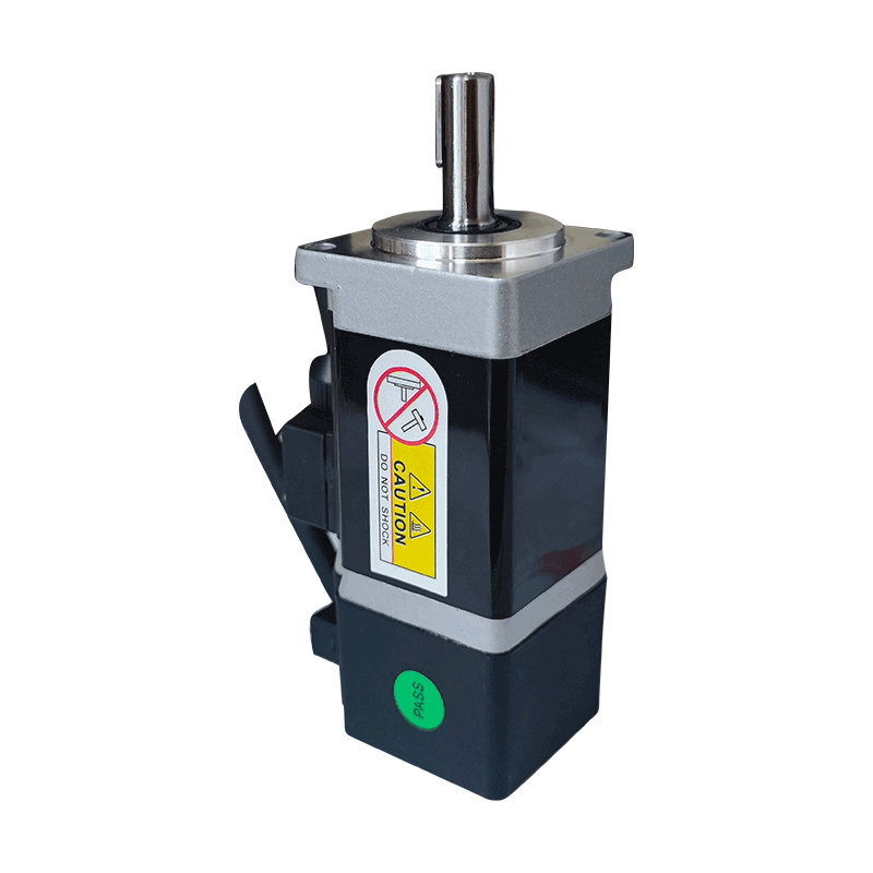 High-Performance 24V/48V Brushless DC Low-Voltage Servo Motor for Home Appliance Boat Use Multiple Encoders Waterproof