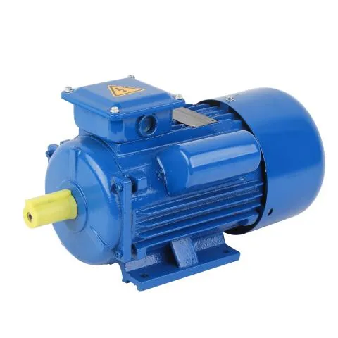 Induction Motor View 1