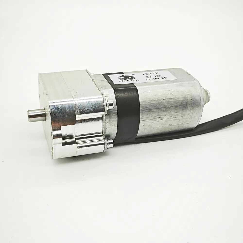 High Quality Window 3.0 N. M Torque Lift Regulator Lwzd111A DC Electric Motor