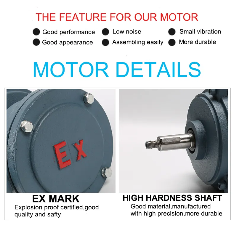 Motor Detail 2