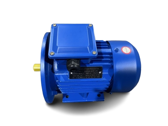 AC Motor Ms Series 0.55kw 0.75HP Aluminum Housing Three Phase Induction Motor