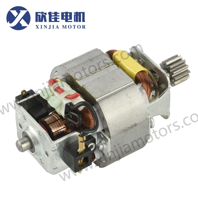 Electric Motor AC Electrical Motor/Engine DC Motor Single Phase 5420 with Pinion for Meat Grinder