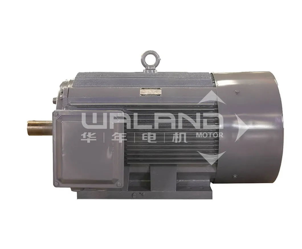 Variable Pole Multi-Speed Motor