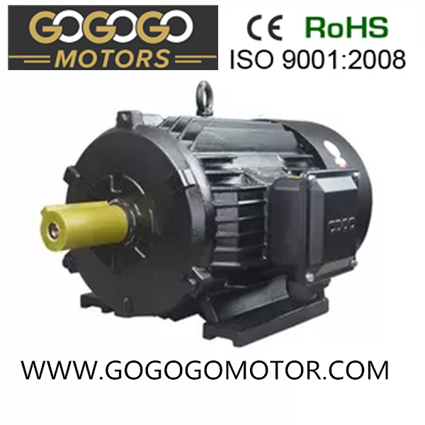 Y 6kv, 10kv Series High Voltage Explosion-Proof Motor
