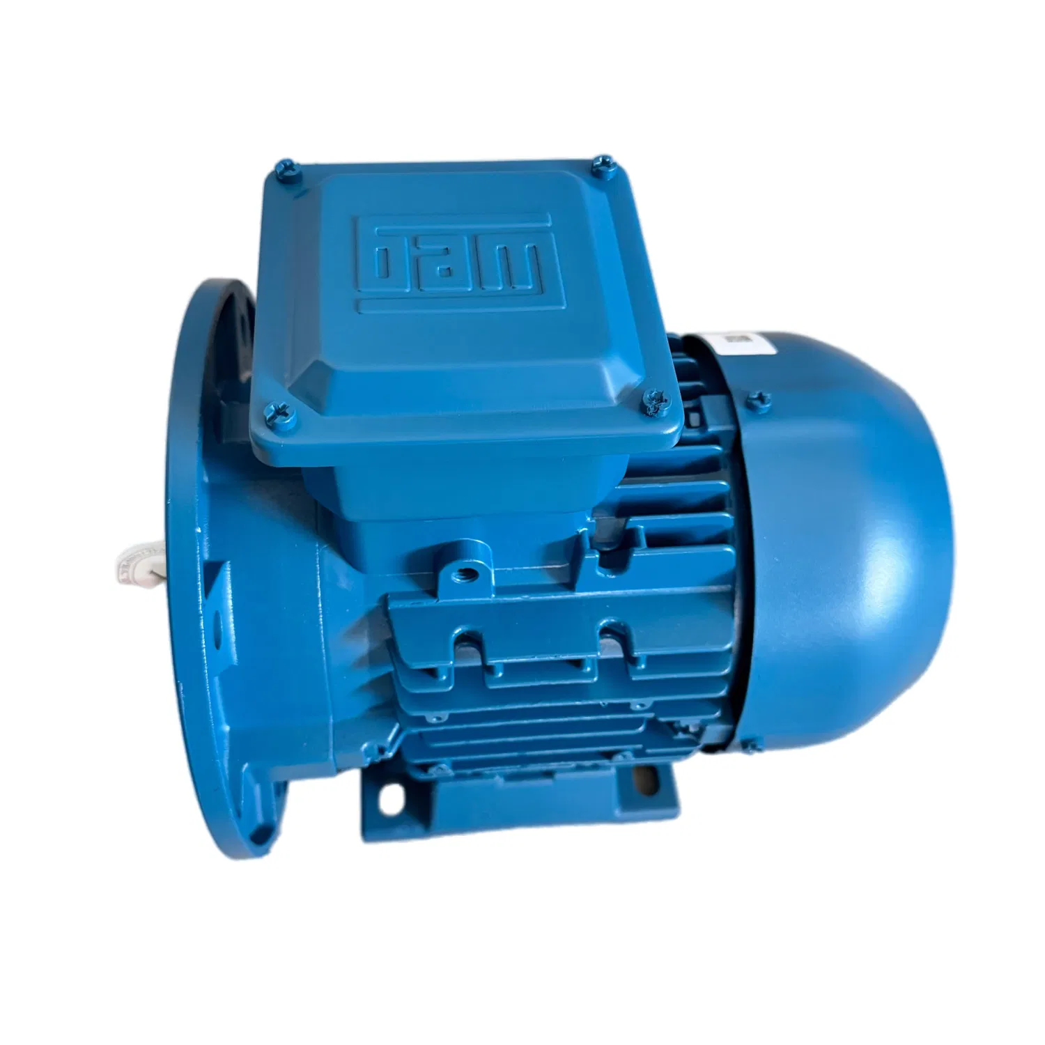 Low Voltage Three Phase Cage Asynchronous AC Electronic Motor, Suitable for Electric Cars and Boat Accessories
