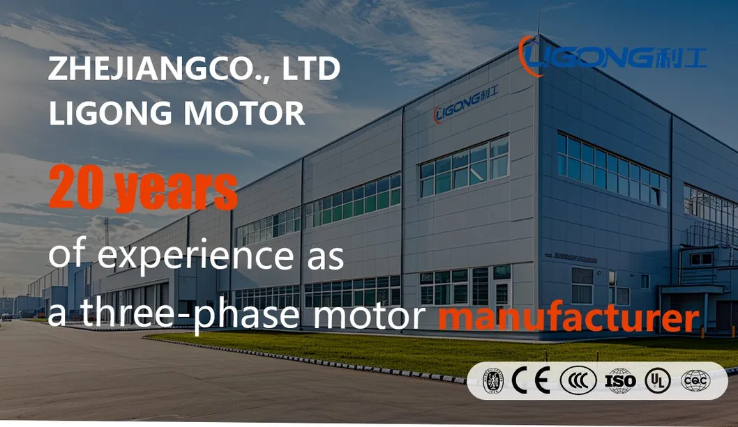 Efficiency AC Motor