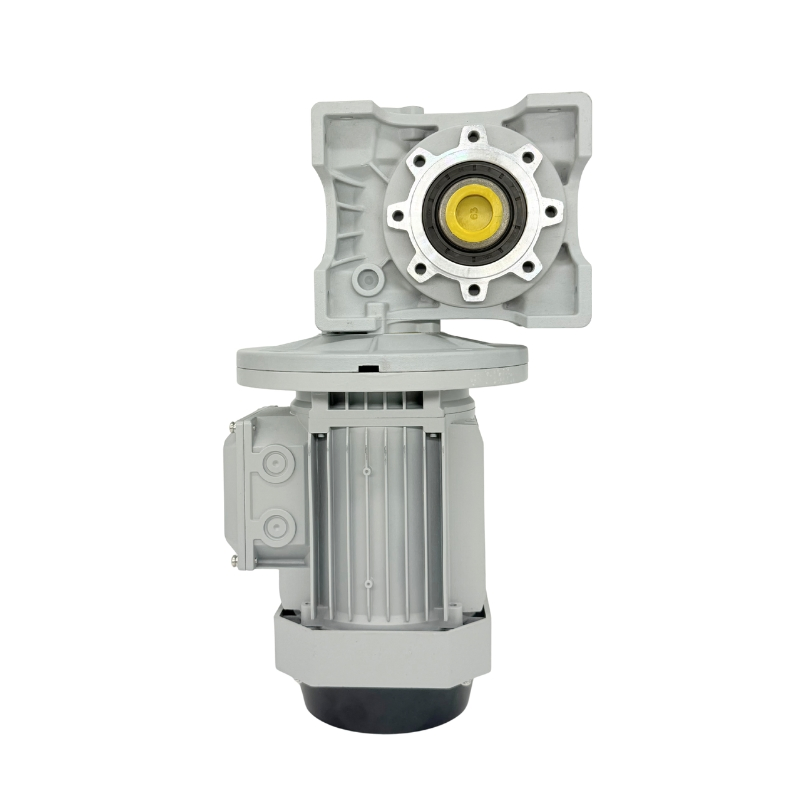 High Efficiency Precision Machining Power Transmission RV Motor with Gearbox Worm Gear Speed Reducer