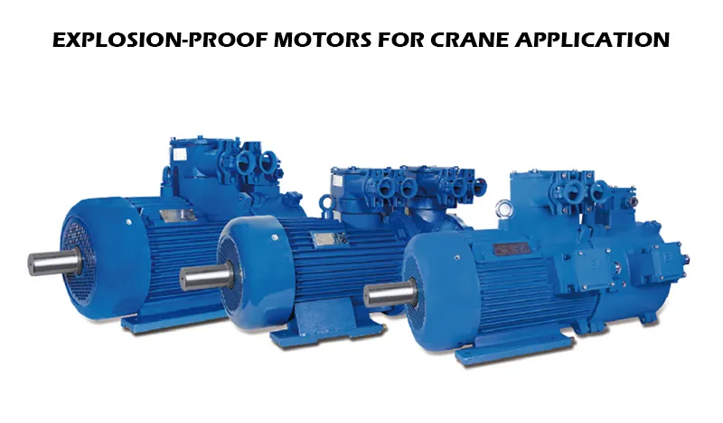 Explosion Proof Crane Motor