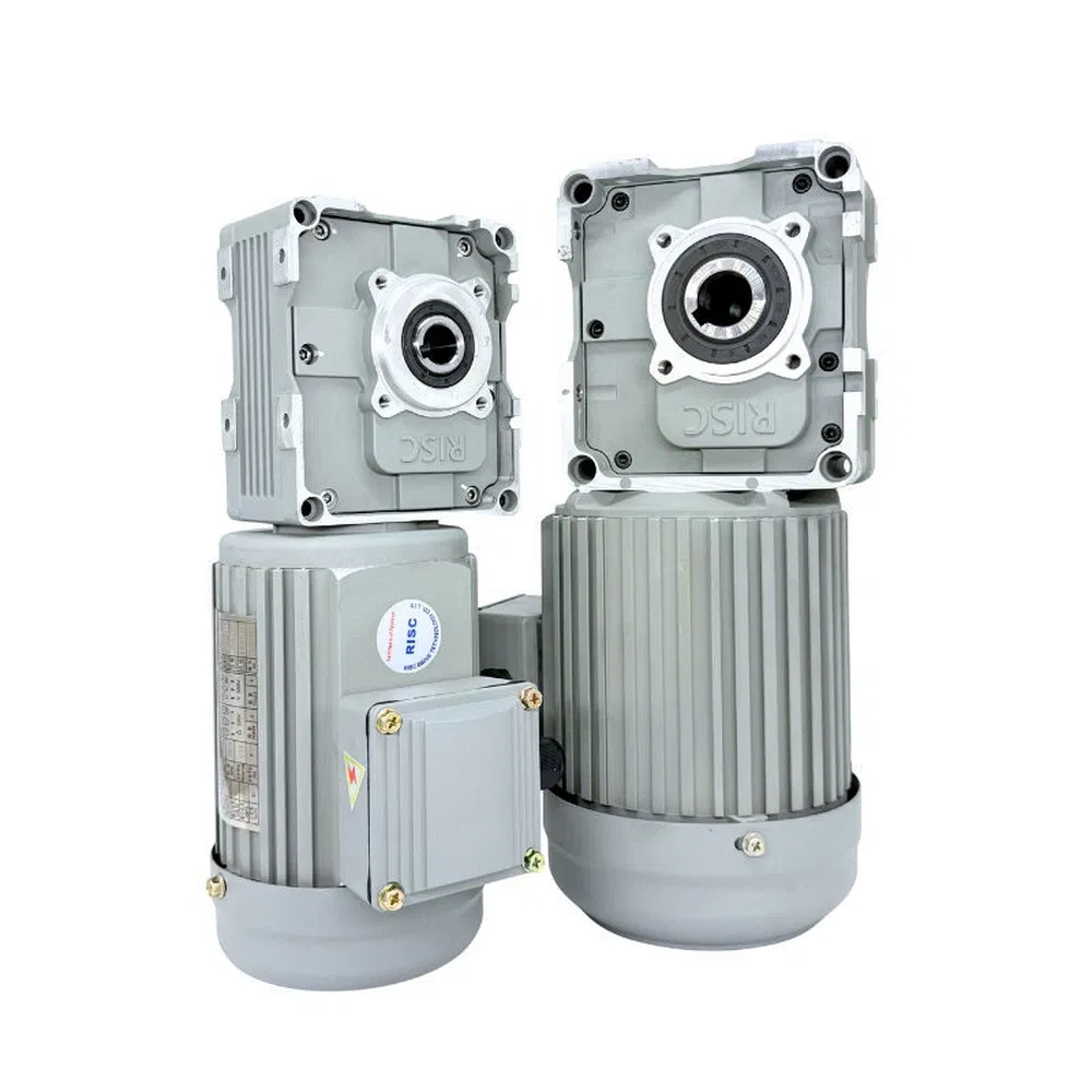 Good Heat Dissipation Performance RF40 High Efficiency Alternating Shaft AC Gear Motors