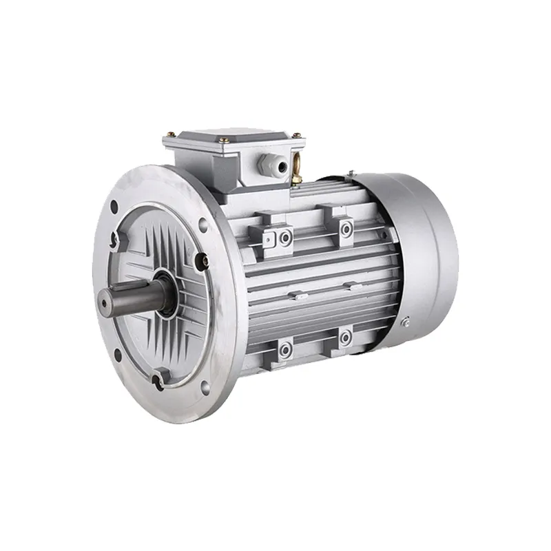 Motor Detail 2