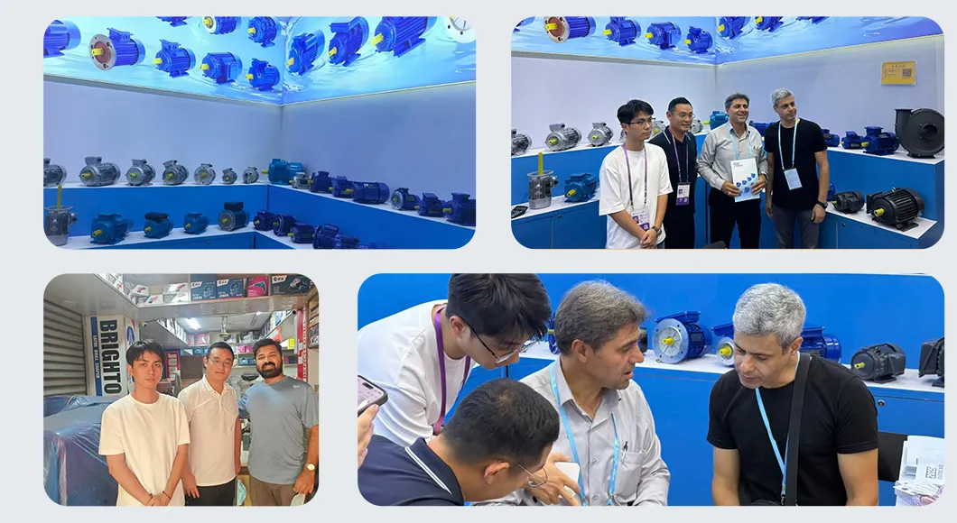 Exhibition Presence