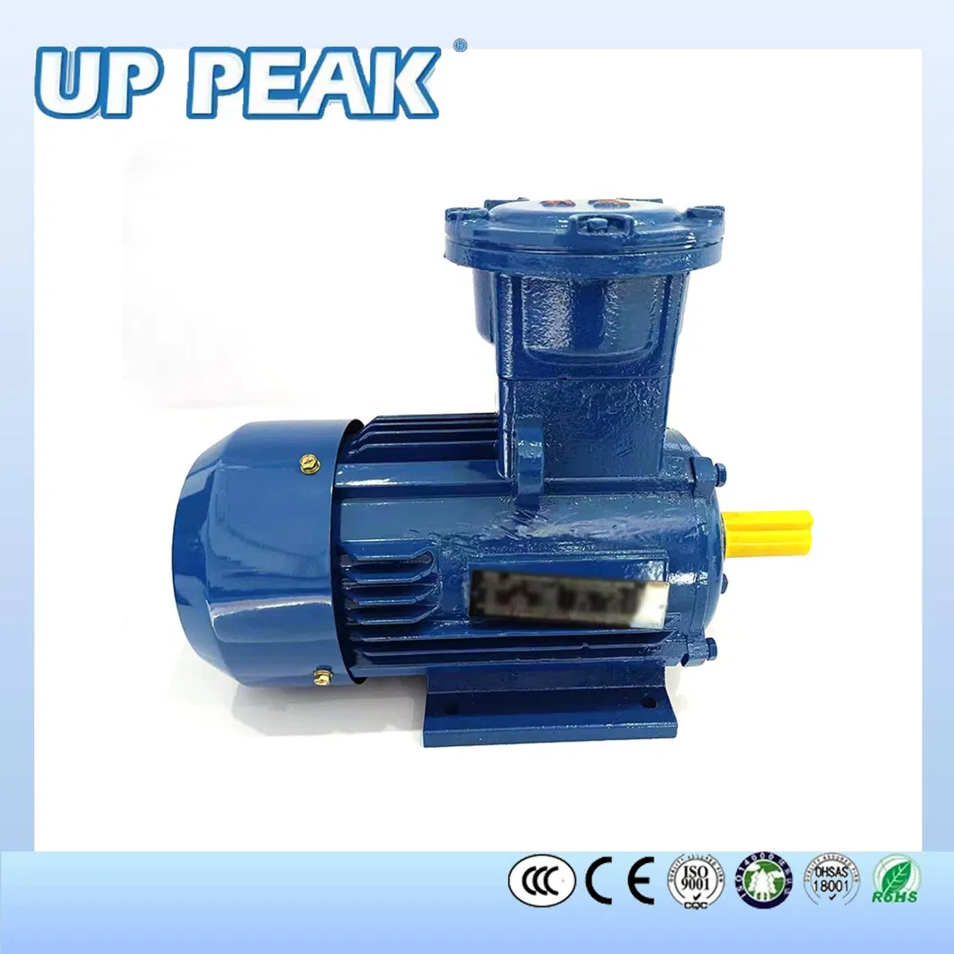 Ybx3/Ybx4 Series Motor