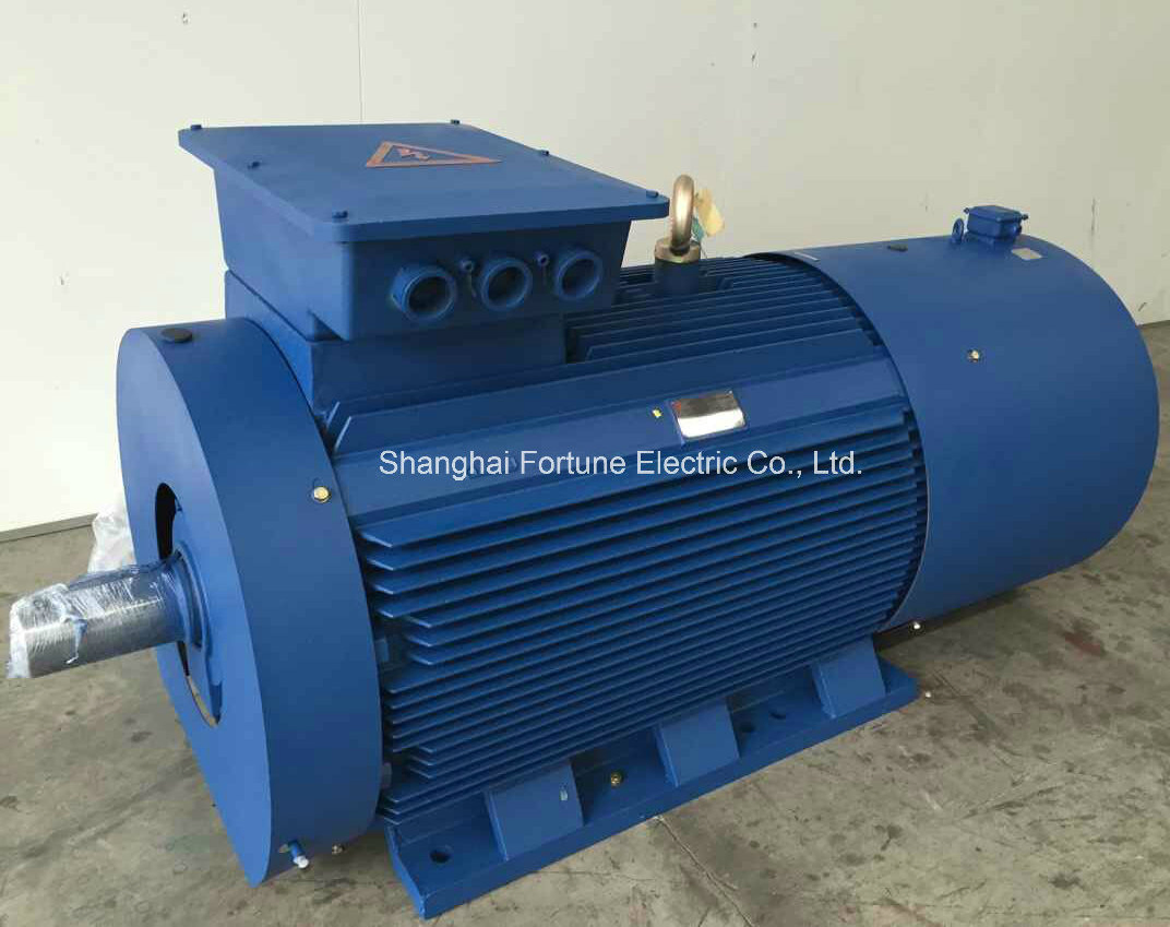 Yvf2 Y2vp Yjp Ysp Variable Frequency Speed VFD Converter Duty AC Motor