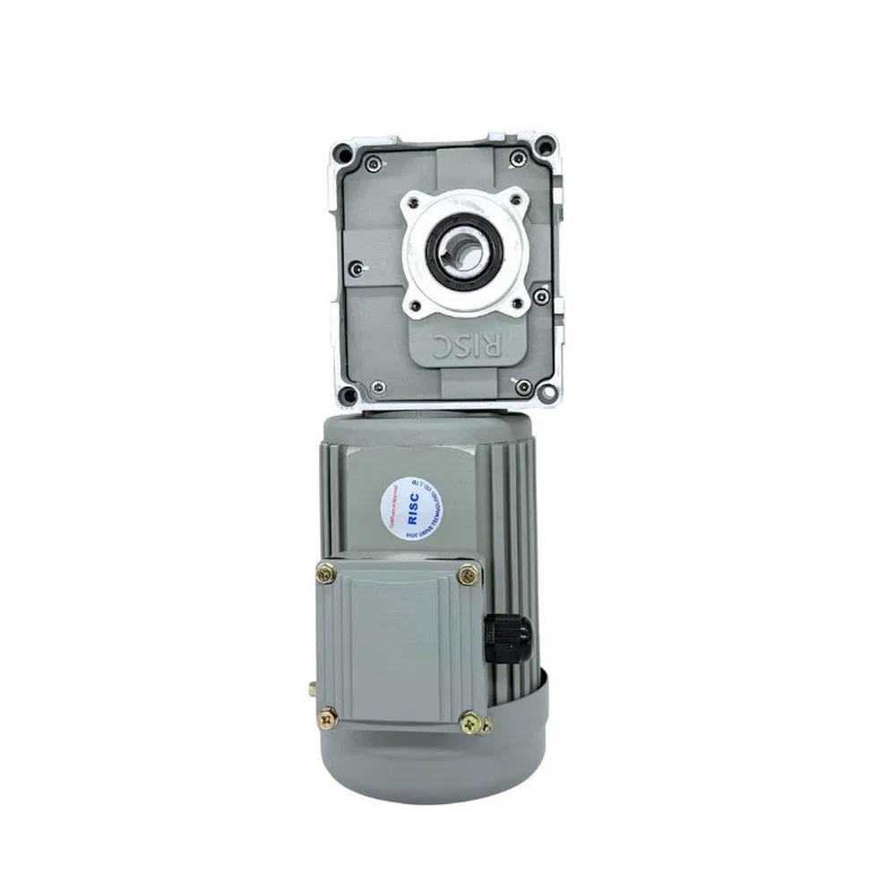 Low Vibration RF40 Worm Gear AC Asynchronous Motor for Automated Warehousing Conveying