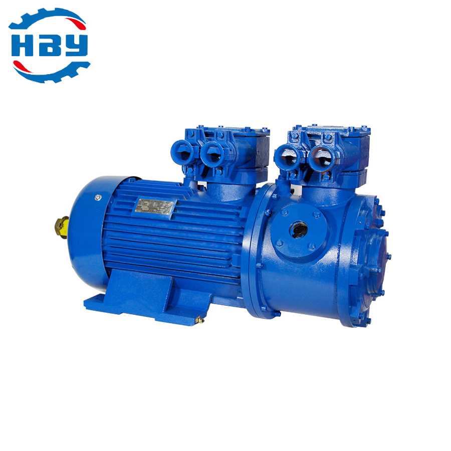 IP54/IP55/IP65 Industrial Flameproof Variable Speed Crane Motor Ybzp Full Power Range China OEM