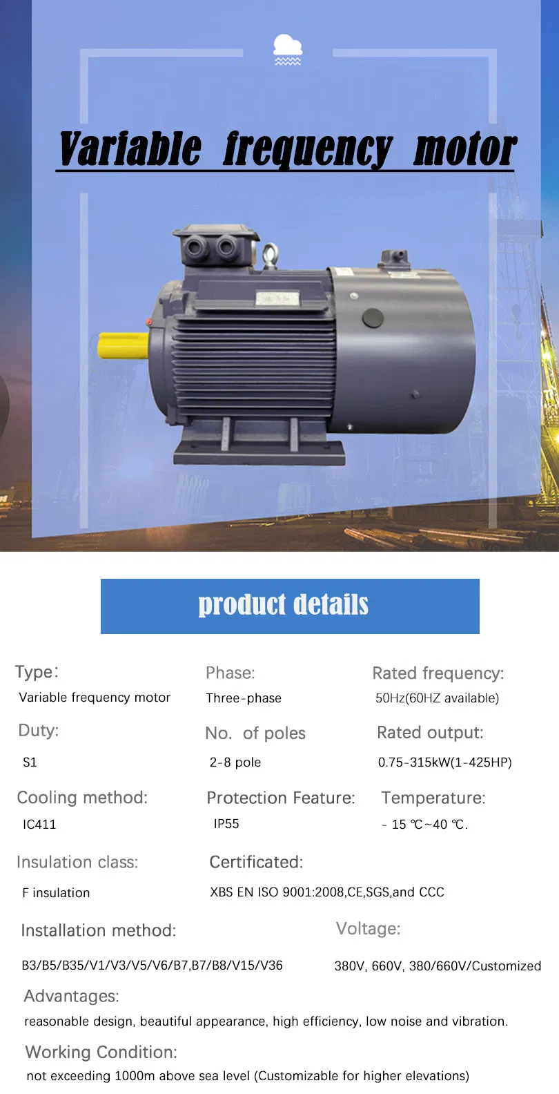 VFD Motor Description