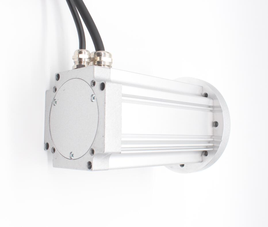 12V Motor High Precision Long Lifespan DC Brushless Servo Motor with Hall Sensor Brake