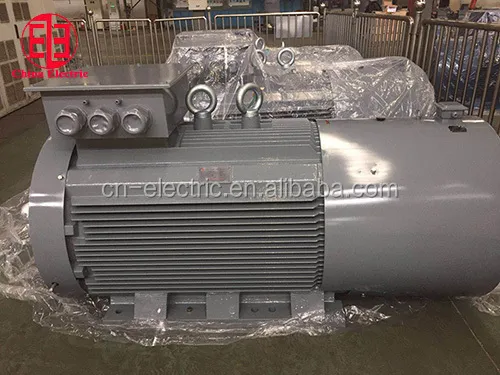Asynchronous Electric Motor