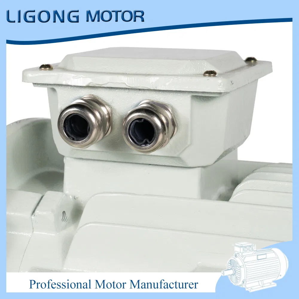 Ye5-315s-6 75kw 995rpm Ie5 Tefc Industrial Electric Motor Drives Factory Exhaust Fans