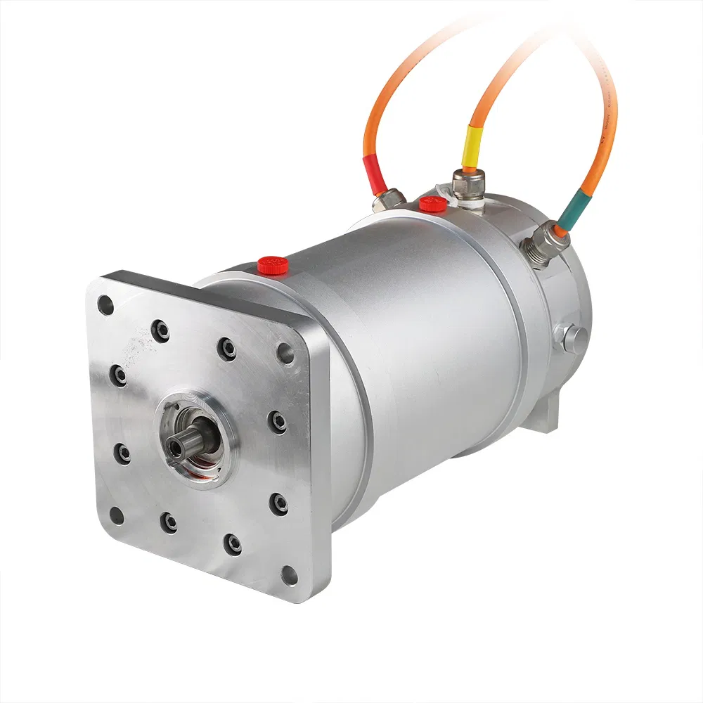High Speed Synchronous Motor 1