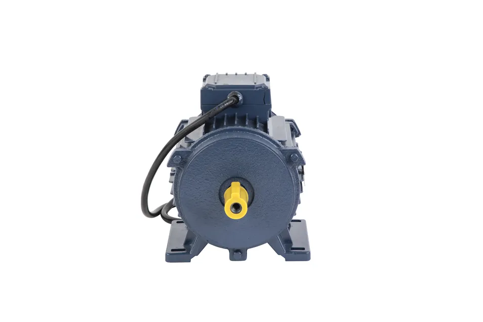 Stable Performance Motor