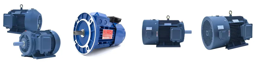 Variable Frequency Drive Motor