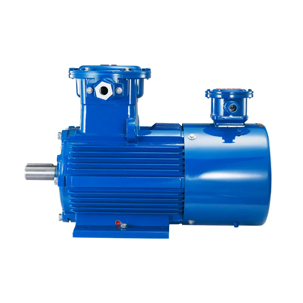 Explosion Proof Motor Detail 3