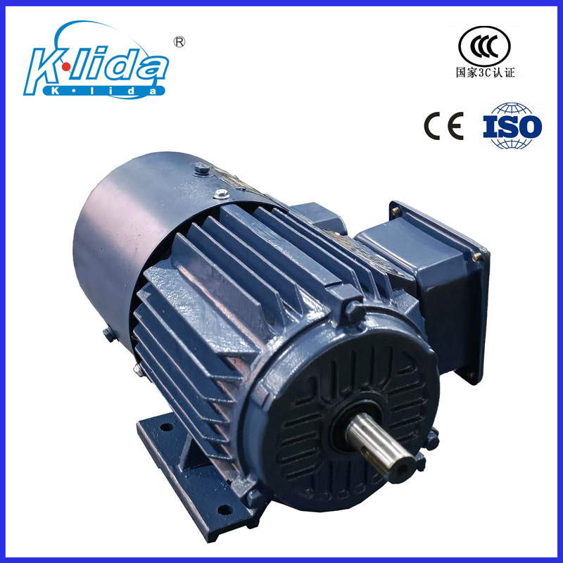 Yvf2 Series Three-Phase Asynchronous Motor Induction Electric Motor Yvf2-225s-4