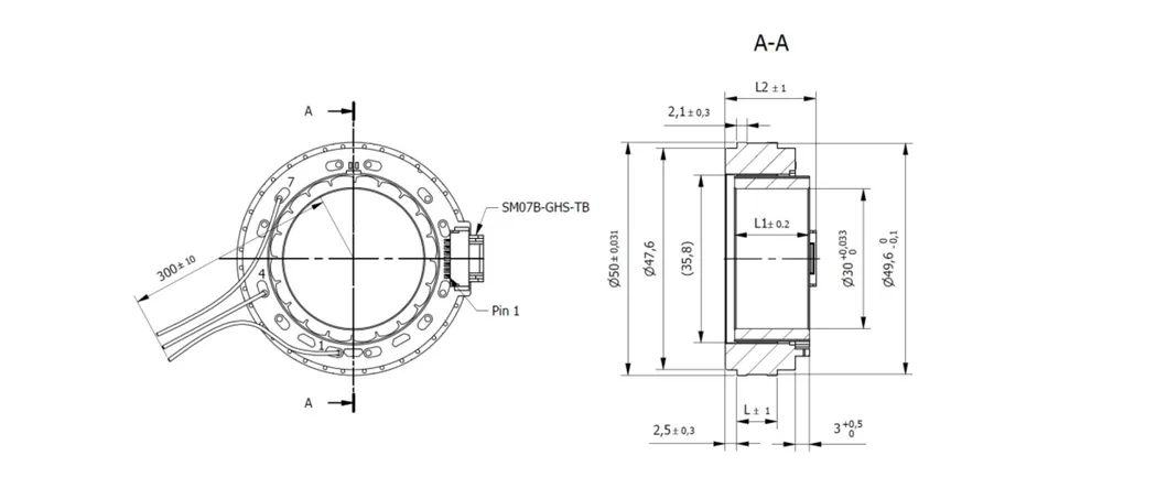 Motor Overview