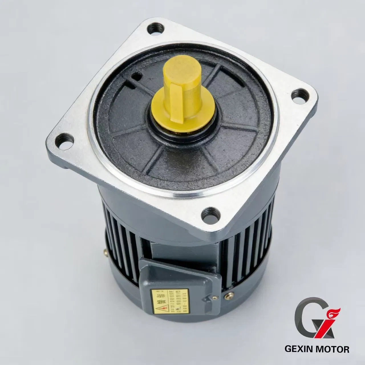 Gexin Small AC Gear Motor 200W 750W 1500W 2200W 3700W Constant Speed Induction Reversible Single Phase Electromagnetic Brake Electric AC Micro Compact