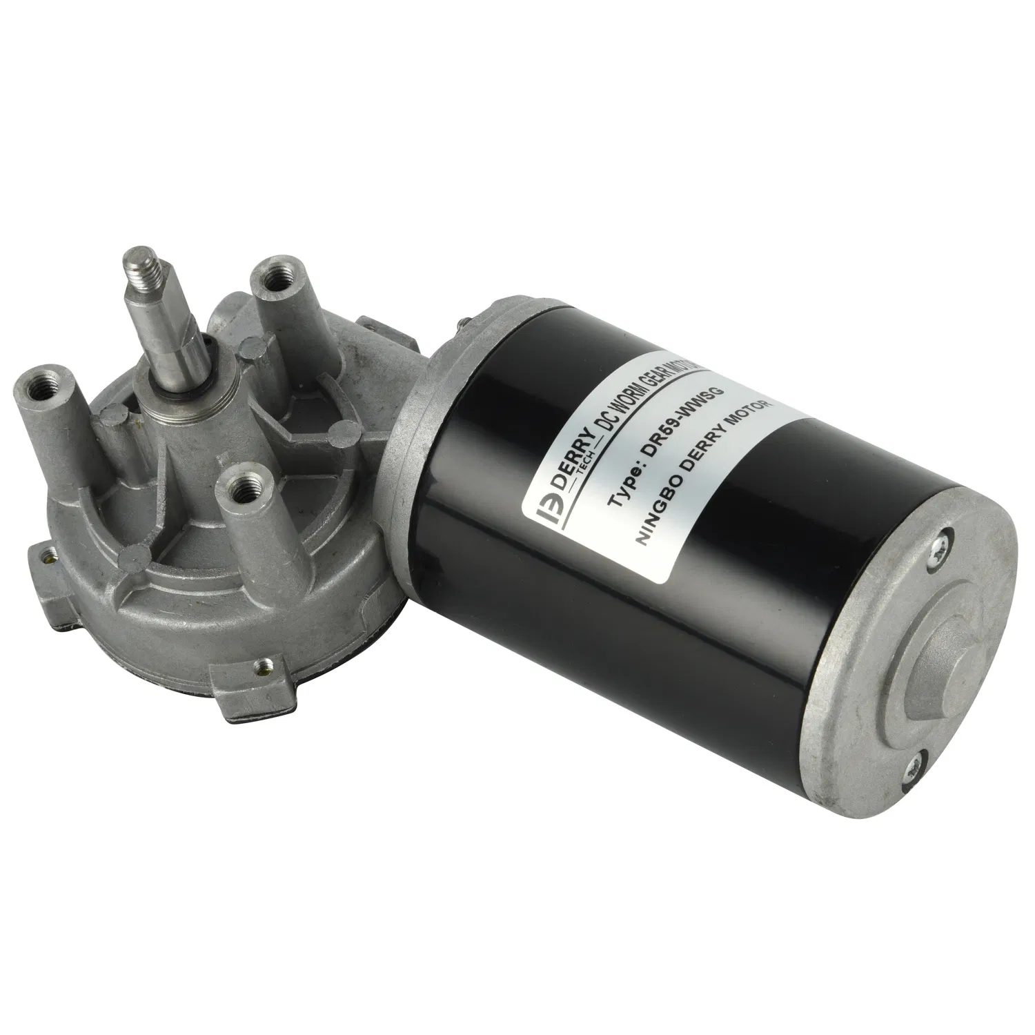 Worm Gear Reducer Motor 24V Silent DC Self-Locking Motor