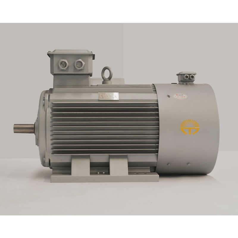 High-Precision Low Voltage Permanent Magnet Electric Motor for Industrial Use