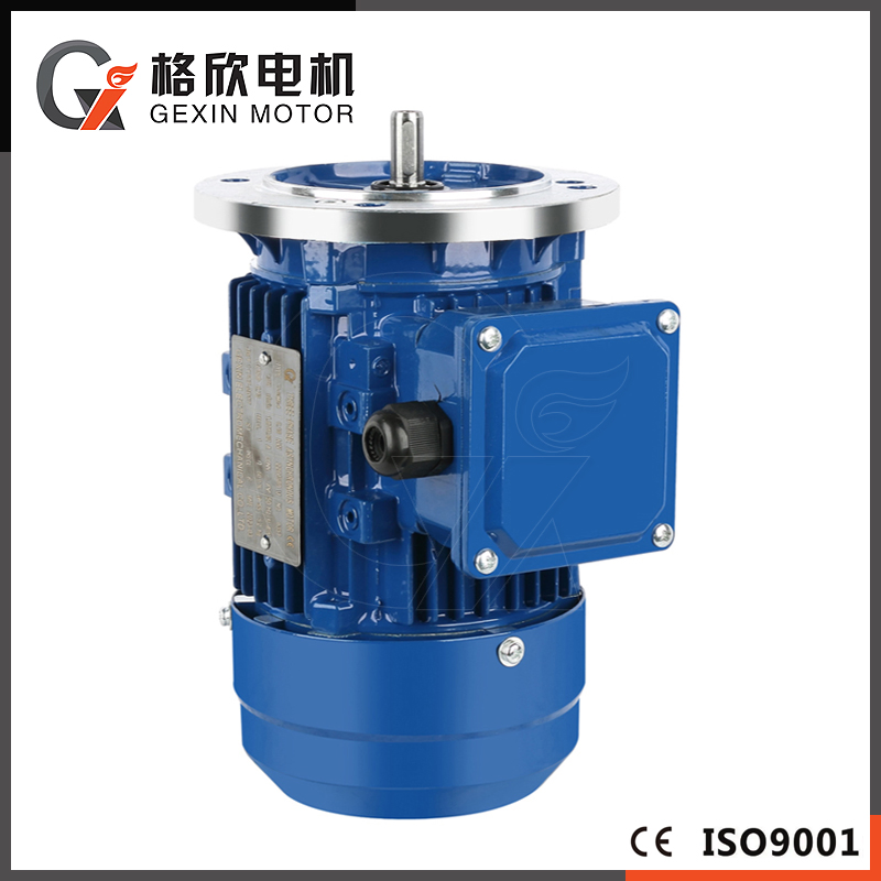 Heavy Duty 50kw 60Hz 415V Squirrel Cage Electric AC Motor Drive Engine